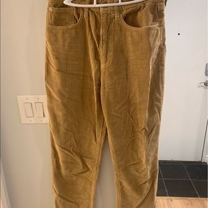 Denim forum corduroy pant